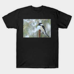 Bird watching... T-Shirt